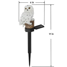 Solar Owl Light, Garden Stake - White