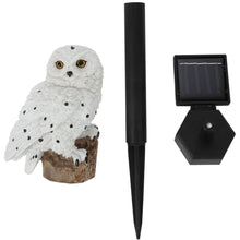 Solar Owl Light, Garden Stake - White